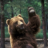 User profile image