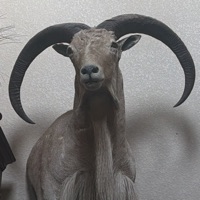 User profile image