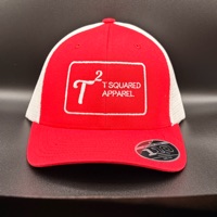 T B profile image