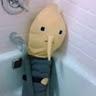 Elias Kuespert