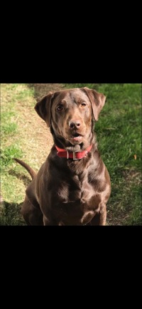 User profile image