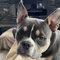Kris Dulac profile image
