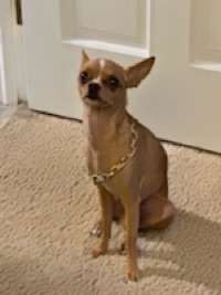 User profile image