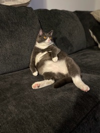 User profile image