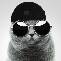 Coolcatcards