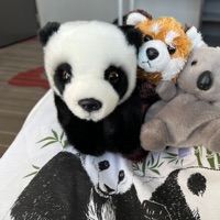 User profile image