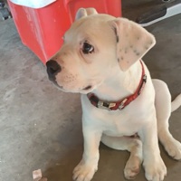 User profile image