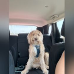 User profile