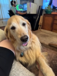 Casey