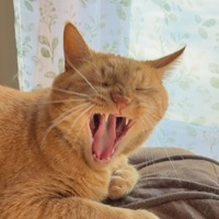User profile image