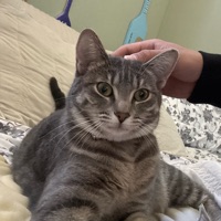 User profile image