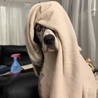 User profile image