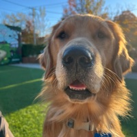 User profile image