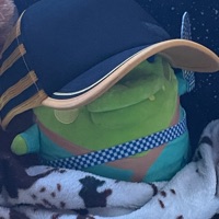User profile