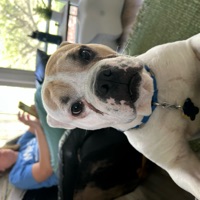 User profile image