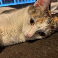 User profile image