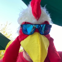 User profile image