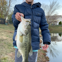 Mason Ebner