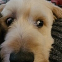 User profile image