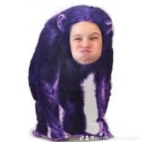 Jamo howell
