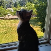 User profile image