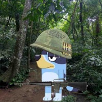 User profile