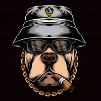 User profile