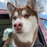 User profile image