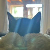 User profile image