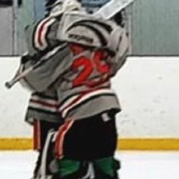 Ryan fitzgerald
