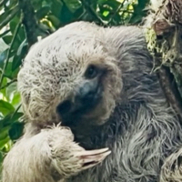 User profile image