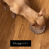 Cash