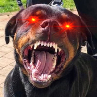 Jack