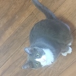Keegan