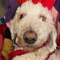 User profile image