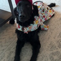 Jon
