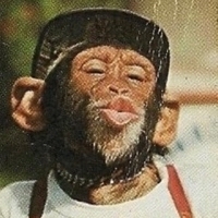 David