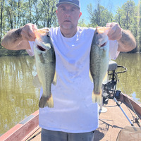 User profile image