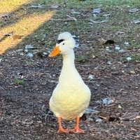 User profile image
