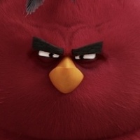 User profile image