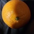 Geo