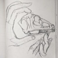 User profile image