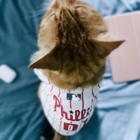 User profile image