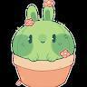 Cacti Ranger