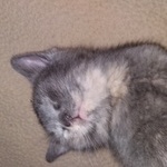 User profile image