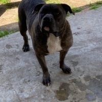 Ralph