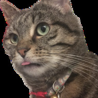 Em