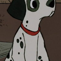 Matthew Suhr