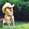 Slick Doge