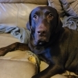 Sam